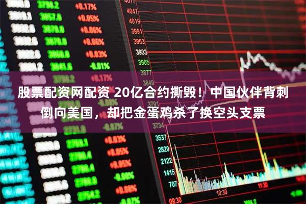 股票配资网配资 20亿合约撕毁！中国伙伴背刺倒向美国，却把金蛋鸡杀了换空头支票